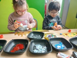 whatsapp image 2026-01-11 at 22.21.49 2